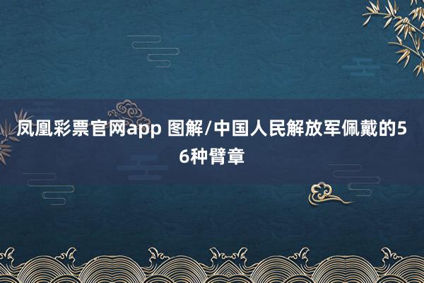 凤凰彩票官网app 图解/中国人民解放军佩戴的56种臂章