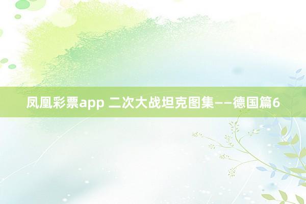 凤凰彩票app 二次大战坦克图集——德国篇6