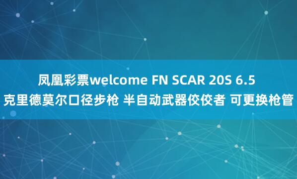 凤凰彩票welcome FN SCAR 20S 6.5 克里德莫尔口径步枪 半自动武器佼佼者 可更换枪管