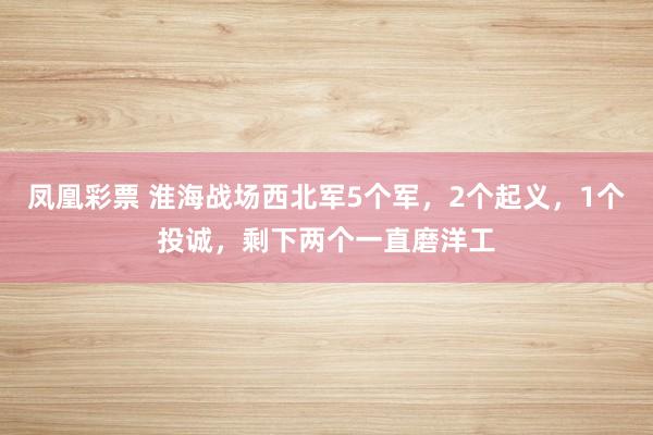 凤凰彩票 淮海战场西北军5个军,2个起义,1个投诚,剩下两个一直磨洋工