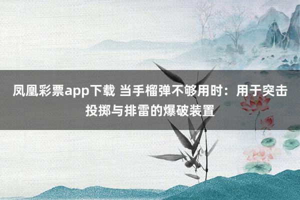 凤凰彩票app下载 当手榴弹不够用时：用于突击投掷与排雷的爆破装置