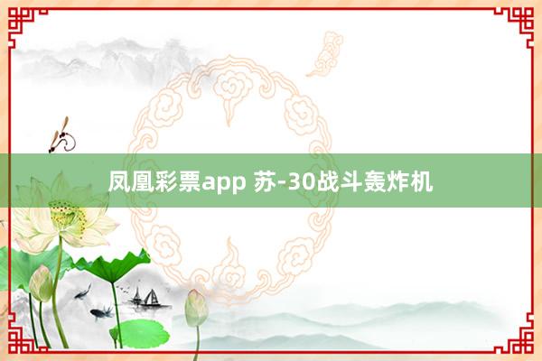 凤凰彩票app 苏-30战斗轰炸机