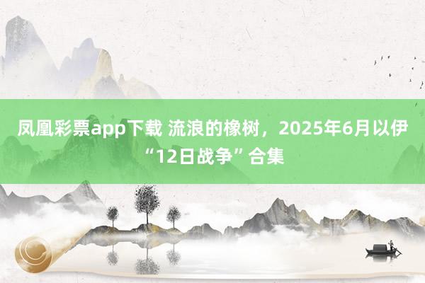 凤凰彩票app下载 流浪的橡树，2025年6月以伊“12日战争”合集