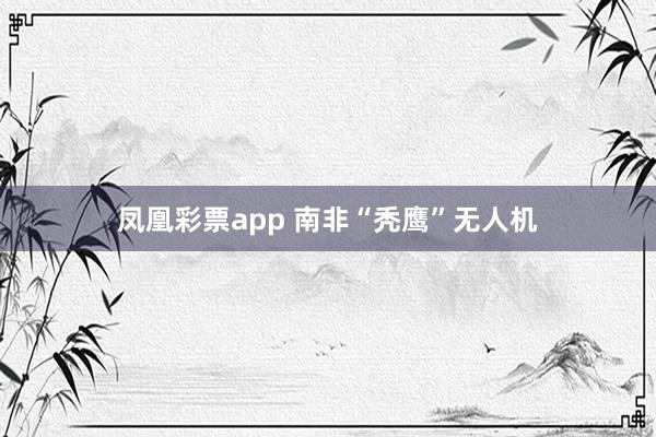 凤凰彩票app 南非“秃鹰”无人机