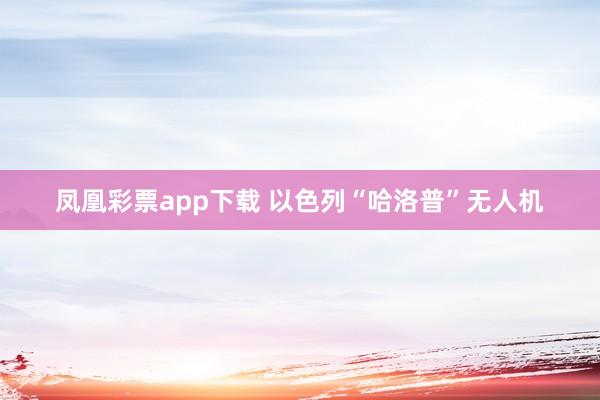 凤凰彩票app下载 以色列“哈洛普”无人机