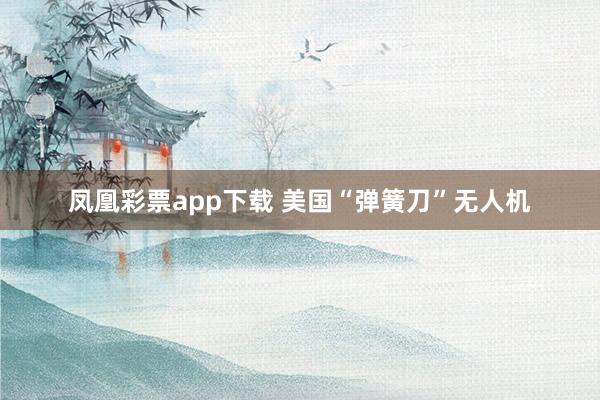 凤凰彩票app下载 美国“弹簧刀”无人机
