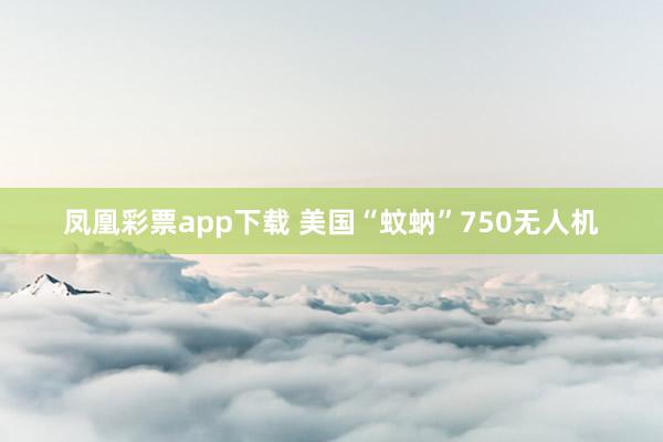 凤凰彩票app下载 美国“蚊蚋”750无人机