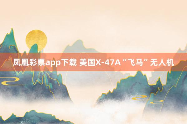 凤凰彩票app下载 美国X-47A“飞马”无人机