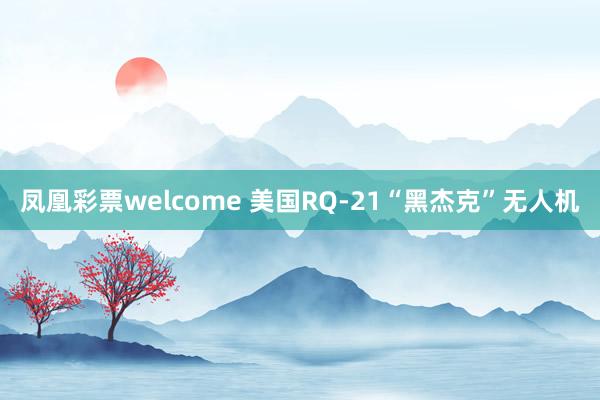 凤凰彩票welcome 美国RQ-21“黑杰克”无人机