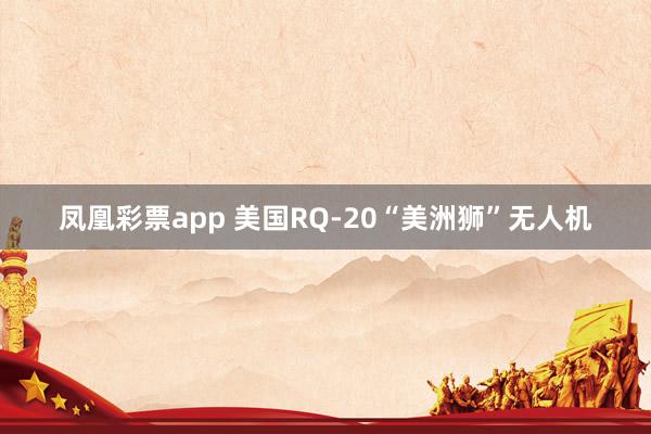 凤凰彩票app 美国RQ-20“美洲狮”无人机