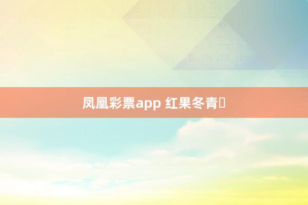 凤凰彩票app 红果冬青‌