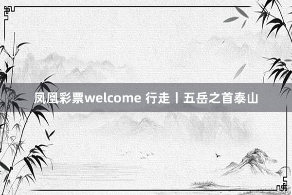 凤凰彩票welcome 行走丨五岳之首泰山