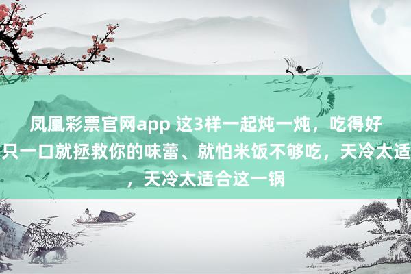 凤凰彩票官网app 这3样一起炖一炖，吃得好又热乎！只一口就拯救你的味蕾、就怕米饭不够吃，天冷太适合这一锅