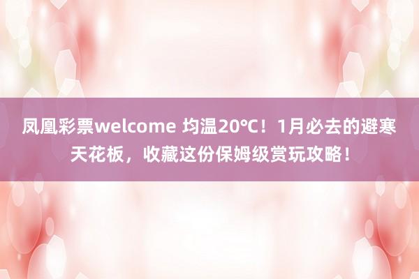 凤凰彩票welcome 均温20℃！1月必去的避寒天花板，收藏这份保姆级赏玩攻略！