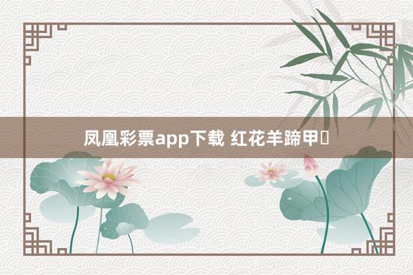 凤凰彩票app下载 红花羊蹄甲‌