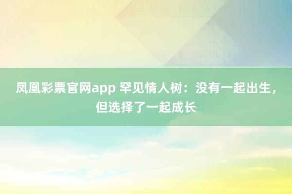 凤凰彩票官网app 罕见情人树：没有一起出生，但选择了一起成长