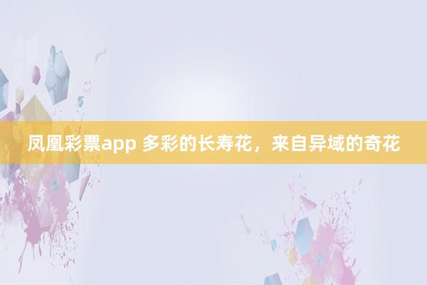凤凰彩票app 多彩的长寿花，来自异域的奇花