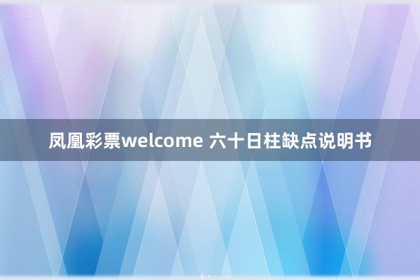 凤凰彩票welcome 六十日柱缺点说明书