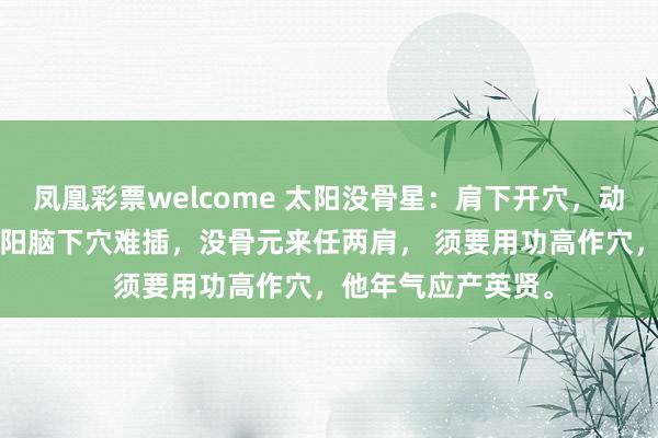 凤凰彩票welcome 太阳没骨星：肩下开穴，动中藏真 诗云： 太阳脑下穴难插，没骨元来任两肩， 须要用功高作穴，他年气应产英贤。