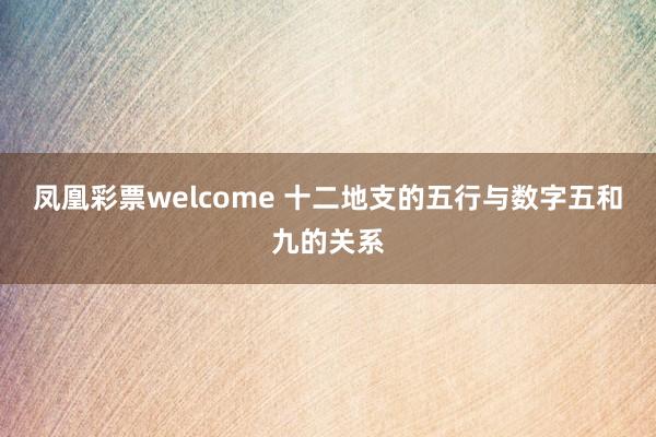 凤凰彩票welcome 十二地支的五行与数字五和九的关系