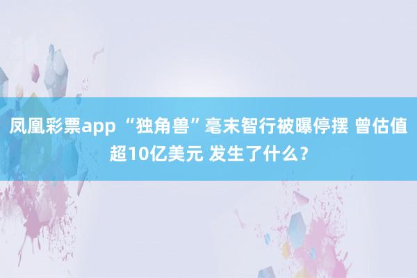 凤凰彩票app “独角兽”毫末智行被曝停摆 曾估值超10亿美元 发生了什么？