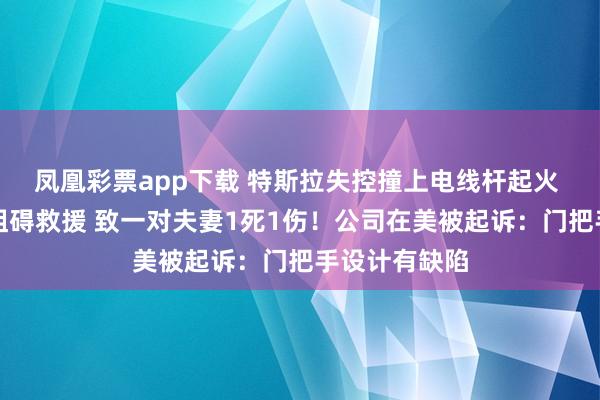 凤凰彩票app下载 特斯拉失控撞上电线杆起火 车门打不开阻碍救援 致一对夫妻1死1伤！公司在美被起诉：门把手设计有缺陷