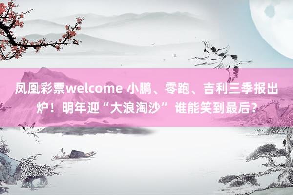 凤凰彩票welcome 小鹏、零跑、吉利三季报出炉！明年迎“大浪淘沙” 谁能笑到最后？