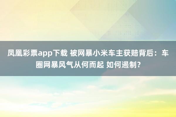 凤凰彩票app下载 被网暴小米车主获赔背后：车圈网暴风气从何而起 如何遏制？