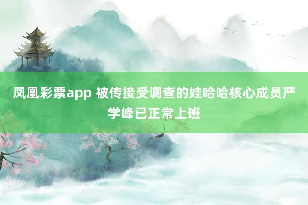 凤凰彩票app 被传接受调查的娃哈哈核心成员严学峰已正常上班
