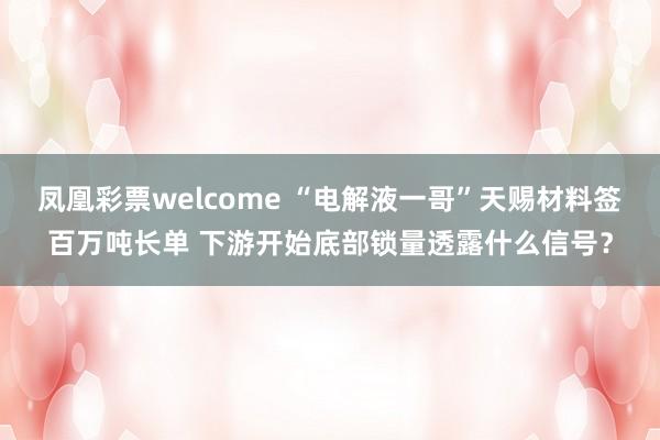 凤凰彩票welcome “电解液一哥”天赐材料签百万吨长单 下游开始底部锁量透露什么信号？