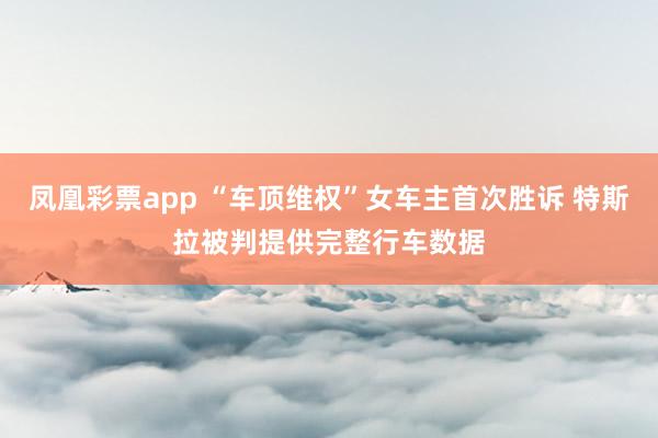 凤凰彩票app “车顶维权”女车主首次胜诉 特斯拉被判提供完整行车数据