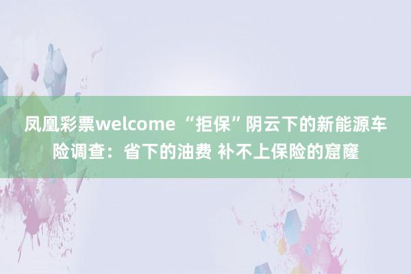 凤凰彩票welcome “拒保”阴云下的新能源车险调查：省下的油费 补不上保险的窟窿