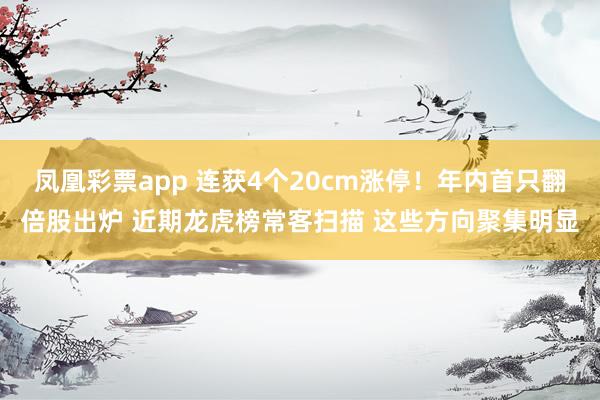 凤凰彩票app 连获4个20cm涨停！年内首只翻倍股出炉 近期龙虎榜常客扫描 这些方向聚集明显
