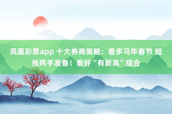 凤凰彩票app 十大券商策略：看多马年春节 短线两手准备！看好“有新高”组合