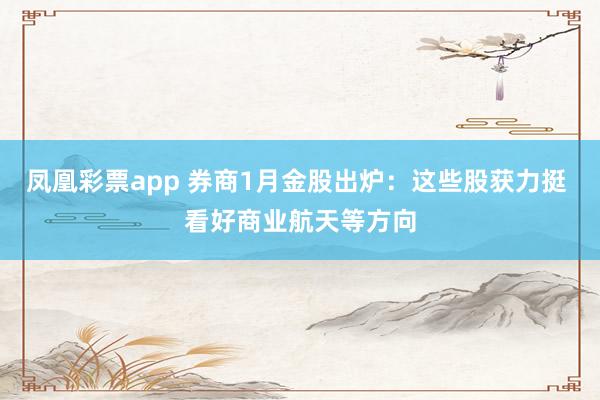 凤凰彩票app 券商1月金股出炉：这些股获力挺 看好商业航天等方向
