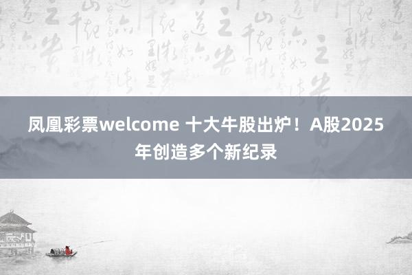 凤凰彩票welcome 十大牛股出炉！A股2025年创造多个新纪录