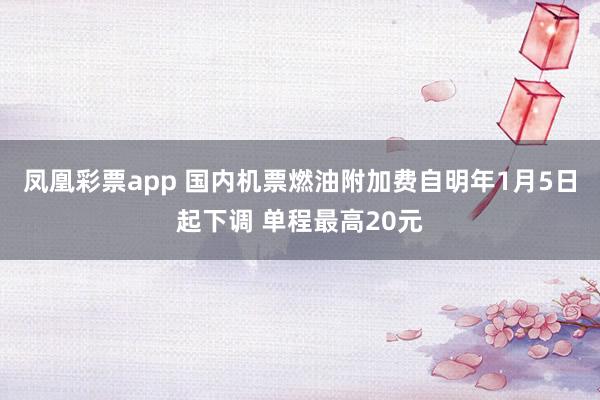 凤凰彩票app 国内机票燃油附加费自明年1月5日起下调 单程最高20元