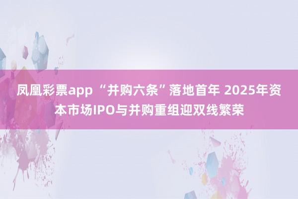 凤凰彩票app “并购六条”落地首年 2025年资本市场IPO与并购重组迎双线繁荣