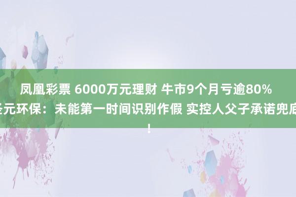 凤凰彩票 6000万元理财 牛市9个月亏逾80% 圣元环保：未能第一时间识别作假 实控人父子承诺兜底！