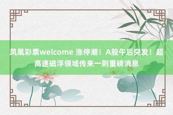 凤凰彩票welcome 涨停潮！A股午后突发！超高速磁浮领域传来一则重磅消息