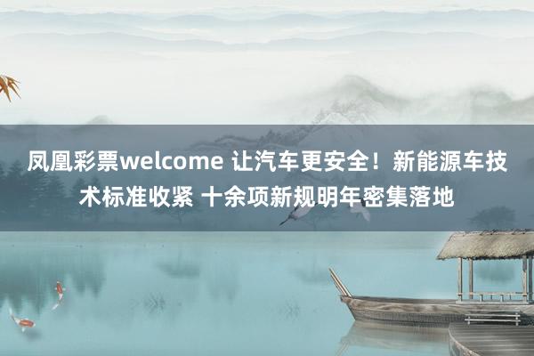 凤凰彩票welcome 让汽车更安全！新能源车技术标准收紧 十余项新规明年密集落地