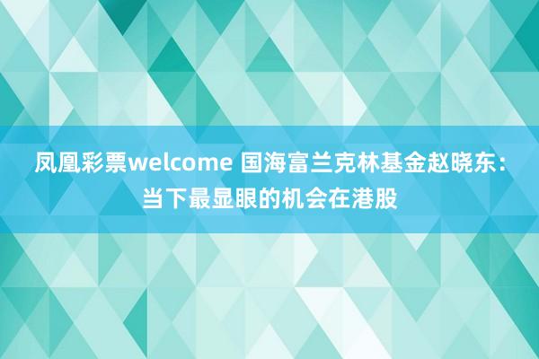 凤凰彩票welcome 国海富兰克林基金赵晓东：当下最显眼的机会在港股