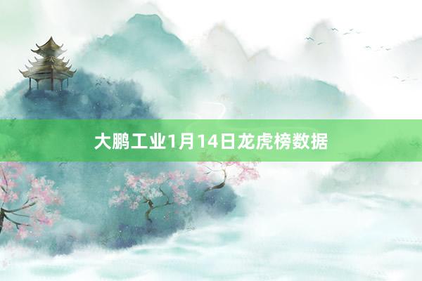 大鹏工业1月14日龙虎榜数据