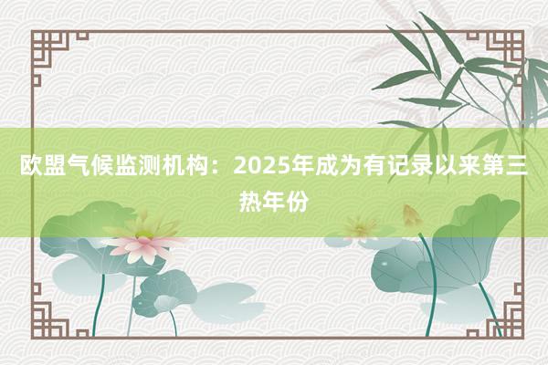 欧盟气候监测机构：2025年成为有记录以来第三热年份