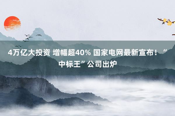4万亿大投资 增幅超40% 国家电网最新宣布！“中标王”公司出炉