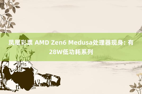 凤凰彩票 AMD Zen6 Medusa处理器现身: 有28W低功耗系列