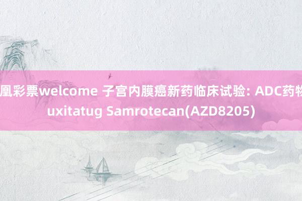 凤凰彩票welcome 子宫内膜癌新药临床试验: ADC药物Puxitatug Samrotecan(AZD8205)