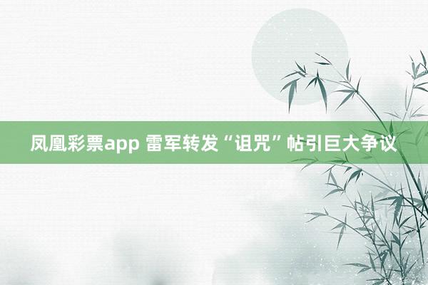 凤凰彩票app 雷军转发“诅咒”帖引巨大争议