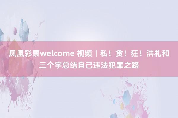 凤凰彩票welcome 视频丨私！贪！狂！洪礼和三个字总结自己违法犯罪之路
