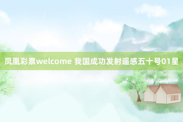 凤凰彩票welcome 我国成功发射遥感五十号01星